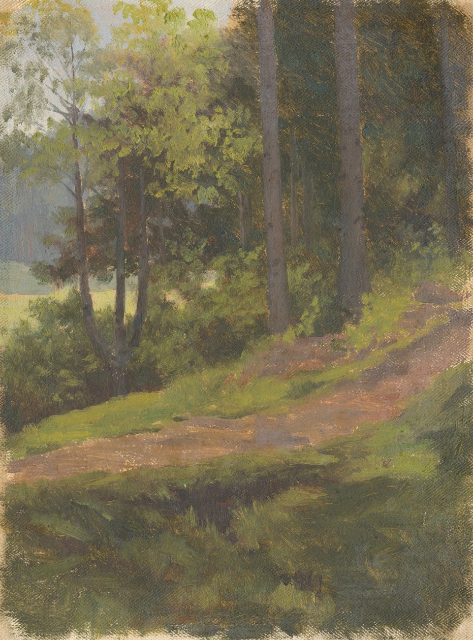 Path on the Edge of the Forest by Jan Nowopacký
