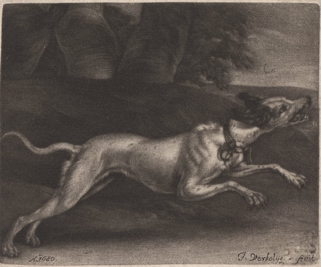 A Running Dog by Jan Verkolje