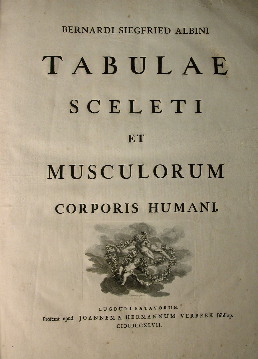 Albinus I, Title Page, from 