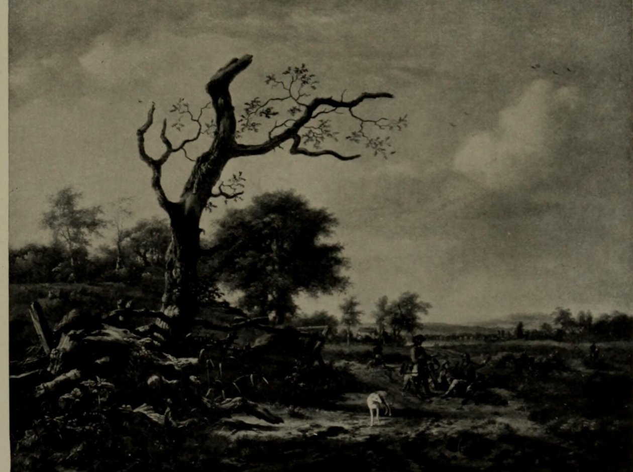 The Leafless Tree by Jan Wijnants