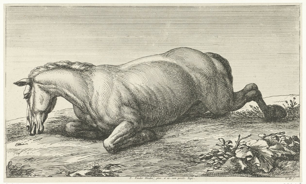 Fallen Horse Lying on Its Belly (Fallen Horses series) by Jan van Huchtenburg
