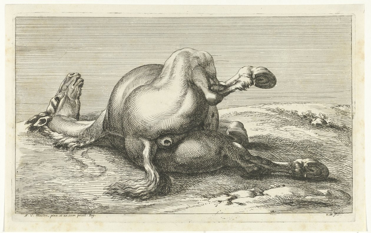 Fallen Horse Seen from Behind (series title) by Jan van Huchtenburg