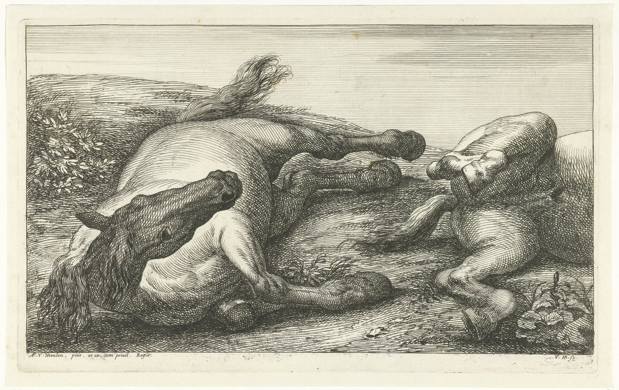 Two Fallen Horses, the Left One Seen from the Front (series title: Fallen Horses) by Jan van Huchtenburg