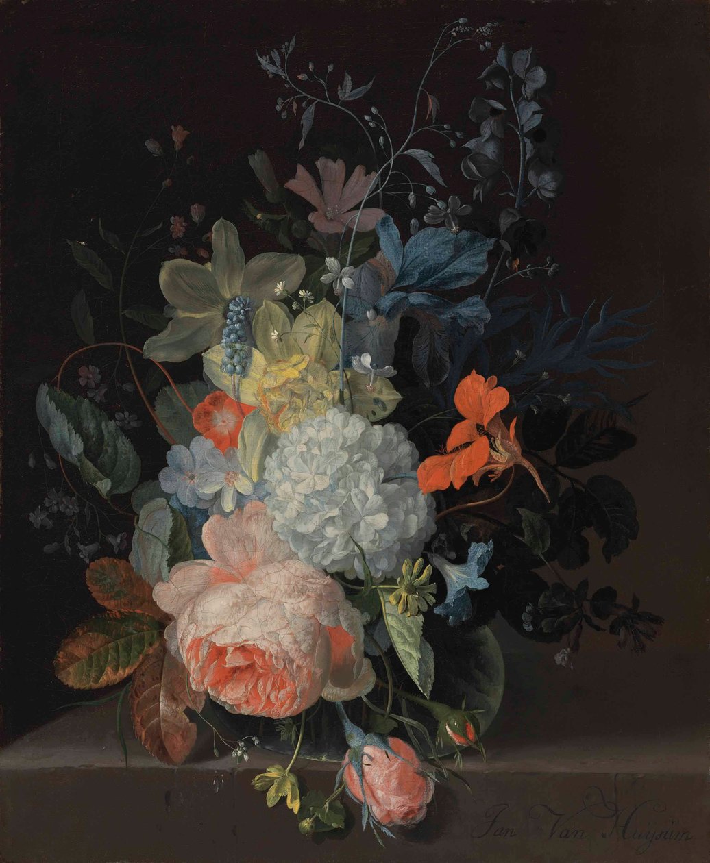 Vase of Flowers on a Ledge, with a Rose, a Snowball, Daffodils, and Irises by Jan van Huysum