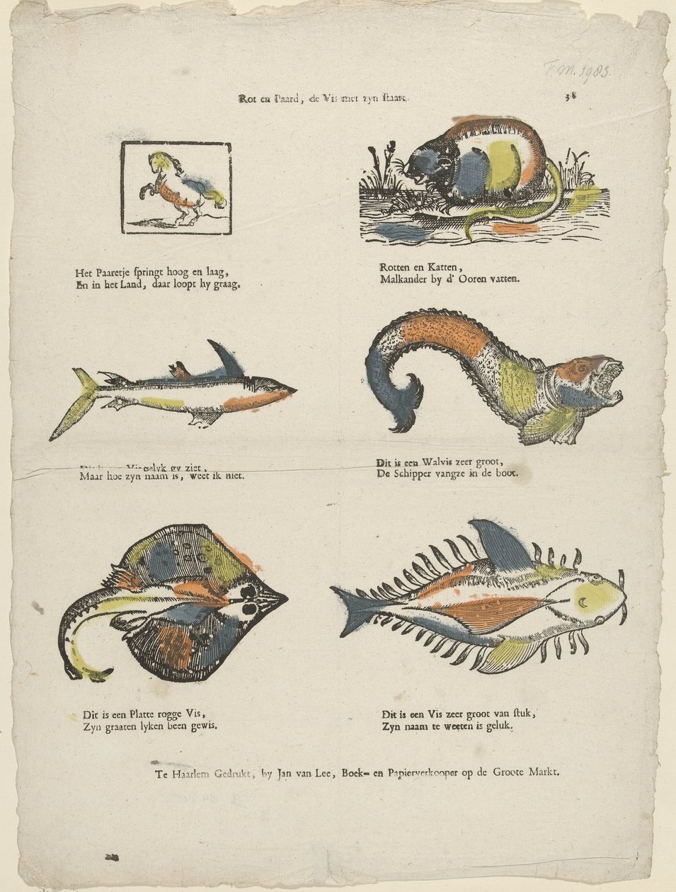 Rot and Horse, the Fish with Its Tail by Jan van Lee