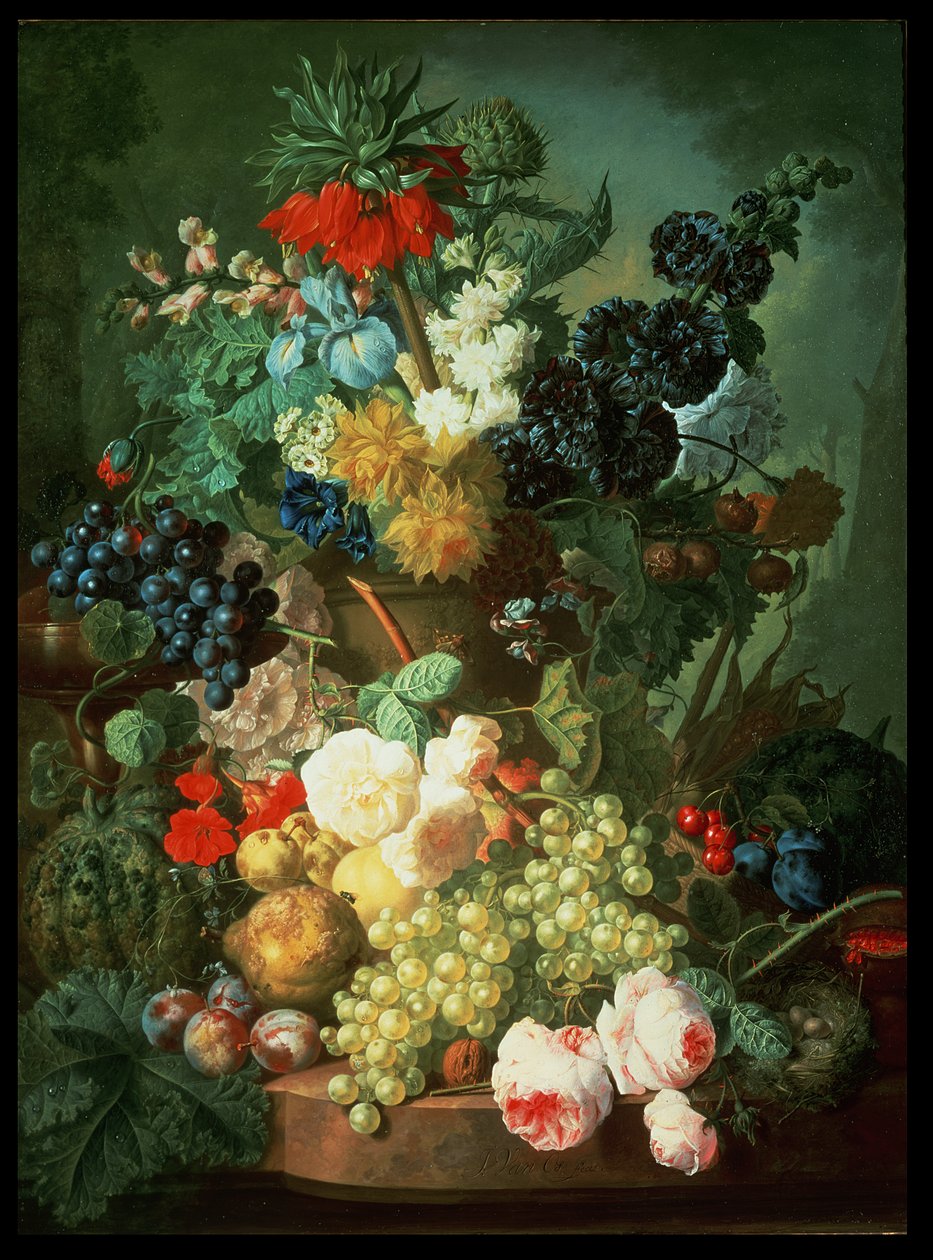 Unknown Image by Jan van Os