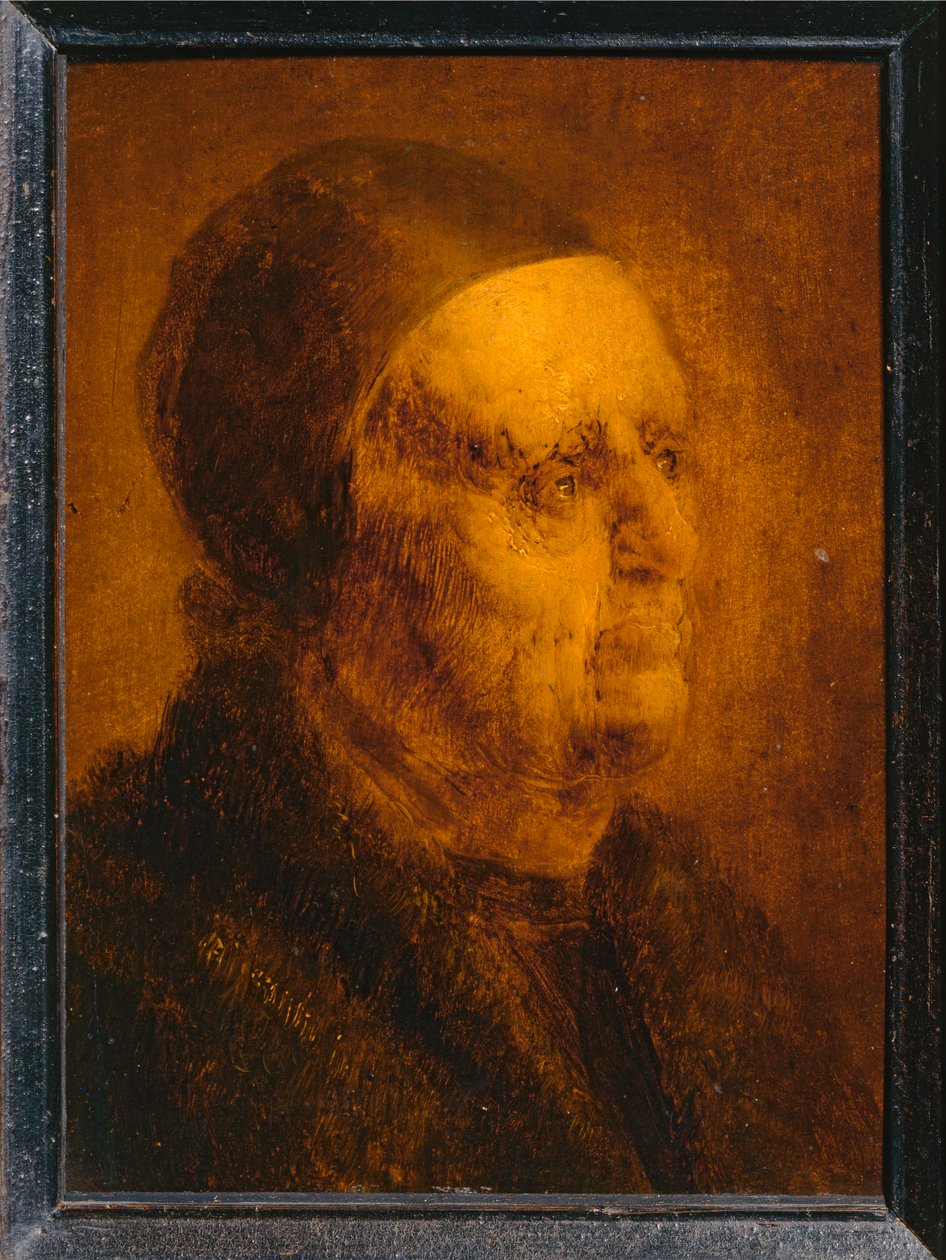 Study Head of an Old Man by Jan van de Venne
