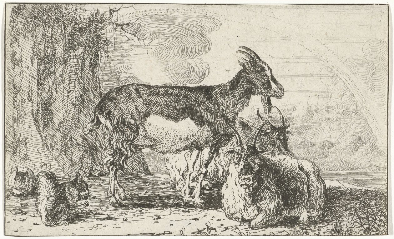 Goats (Animals) by Jan van den Hecke