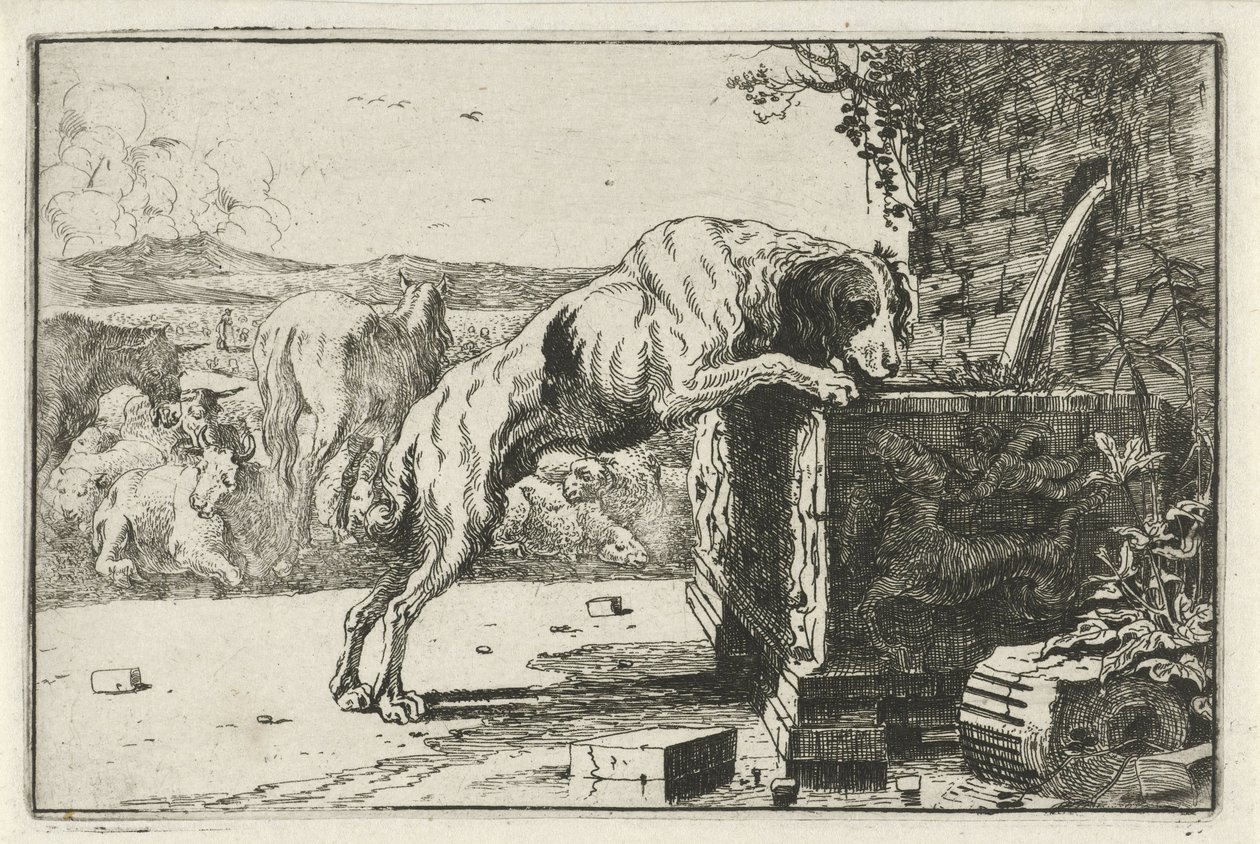 Dog by a Fountain (Animals, Zoographiam) by Jan van den Hecke