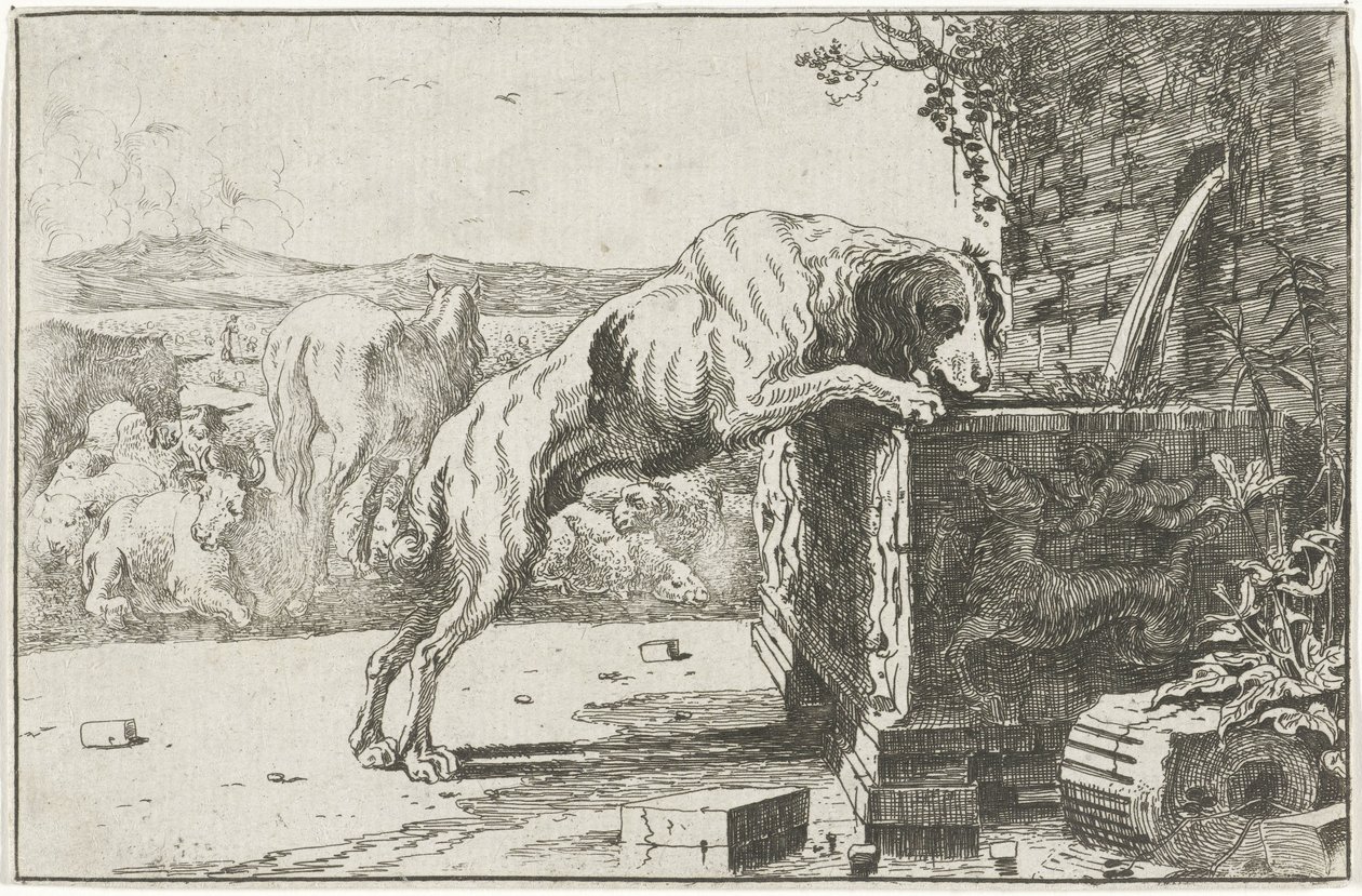 Dog by a Fountain (Animals series) by Jan van den Hecke