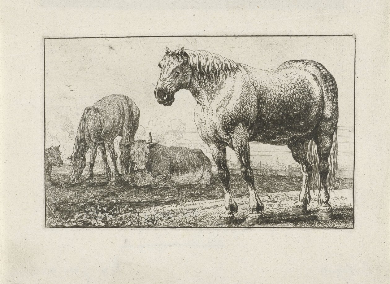 Horses and Cows by Jan van den Hecke