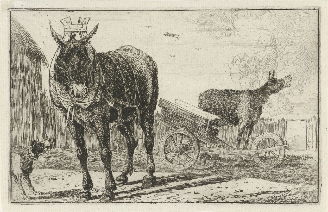 Two Donkeys by Jan van den Hecke