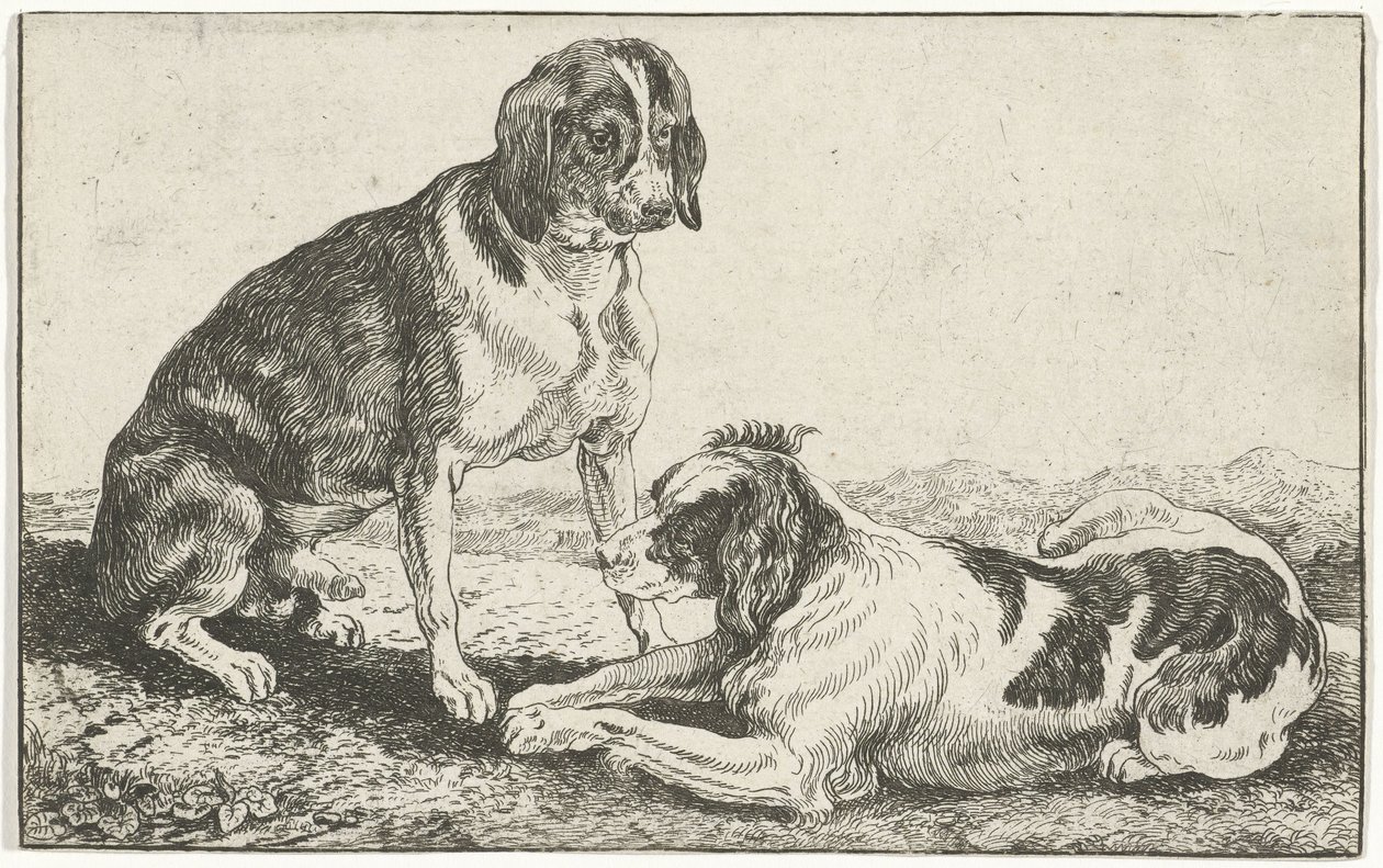 Two Resting Dogs by Jan van den Hecke