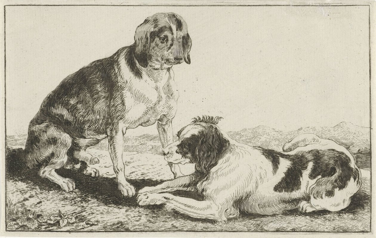 Two Resting Dogs by Jan van den Hecke