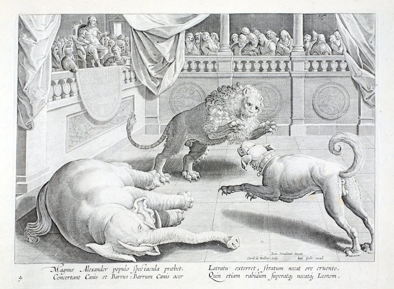 Alexander the Great puts on a spectacle, a lion, dog and elephant fight, illustration from 
