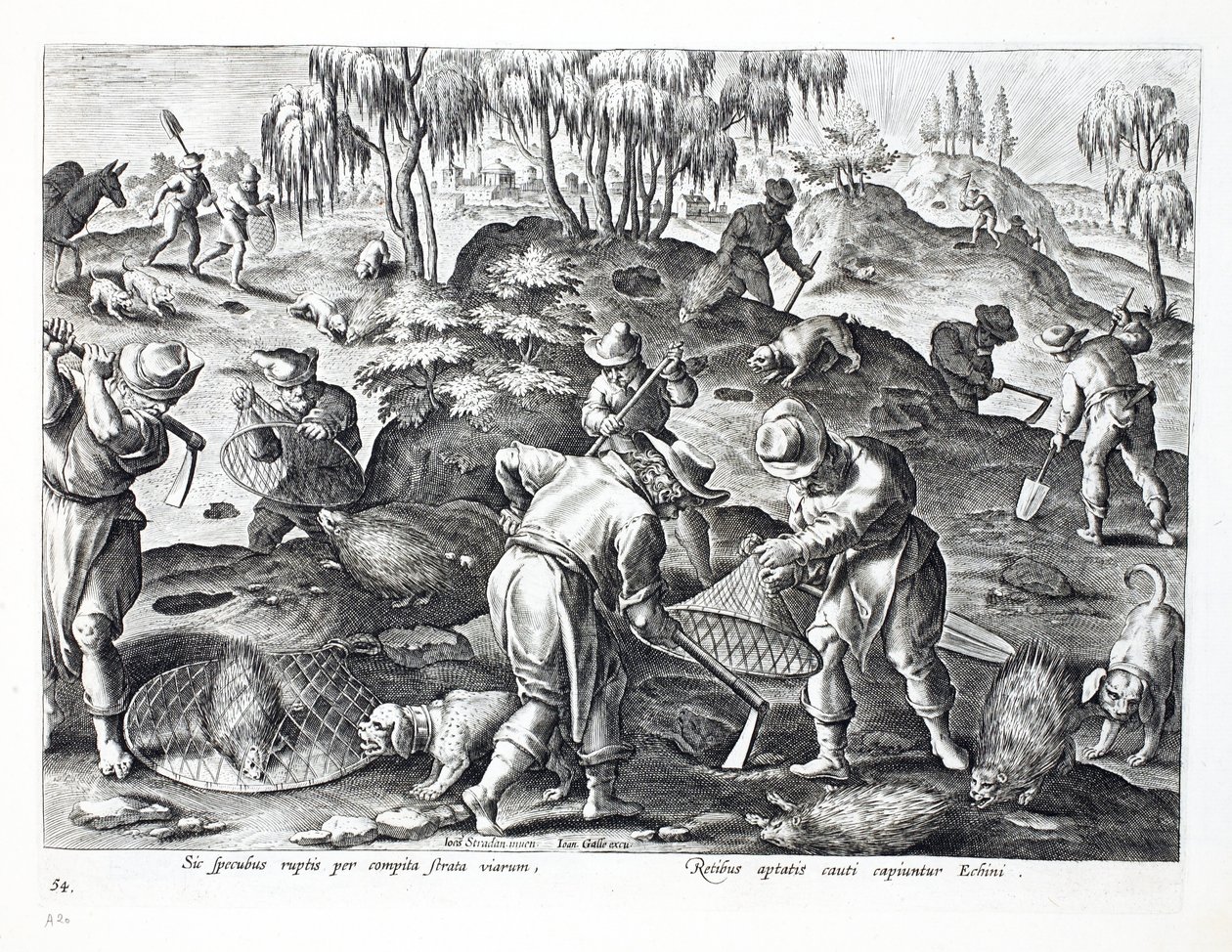Digging Out and Capturing Porcupines, plate 54, illustration from 