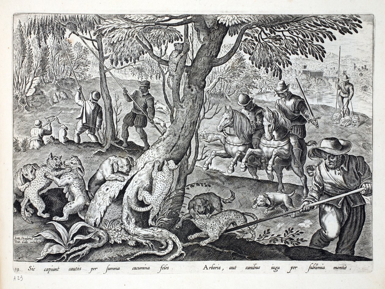 Hunting Cats with Dogs, Illustration from 