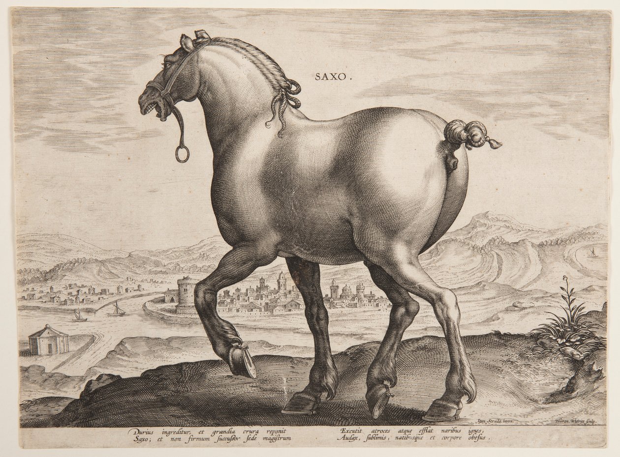 A Saxon Horse, from the First Set of 