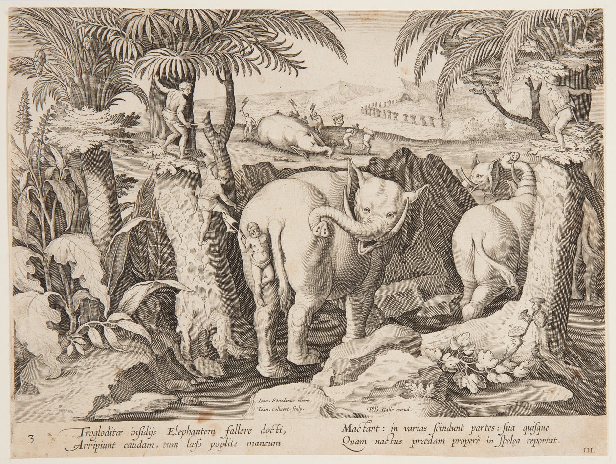 Cavemen Chasing Elephants, plate 3 from the Venationes Ferarum, Avium, Piscium series by Jan van der Straet, called Stradanus