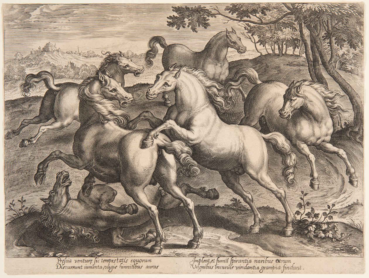 Fighting Horses, from the Fourth Set of 