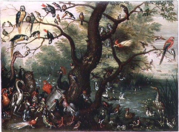 Concert of Birds by Jan van the Elder Kessel