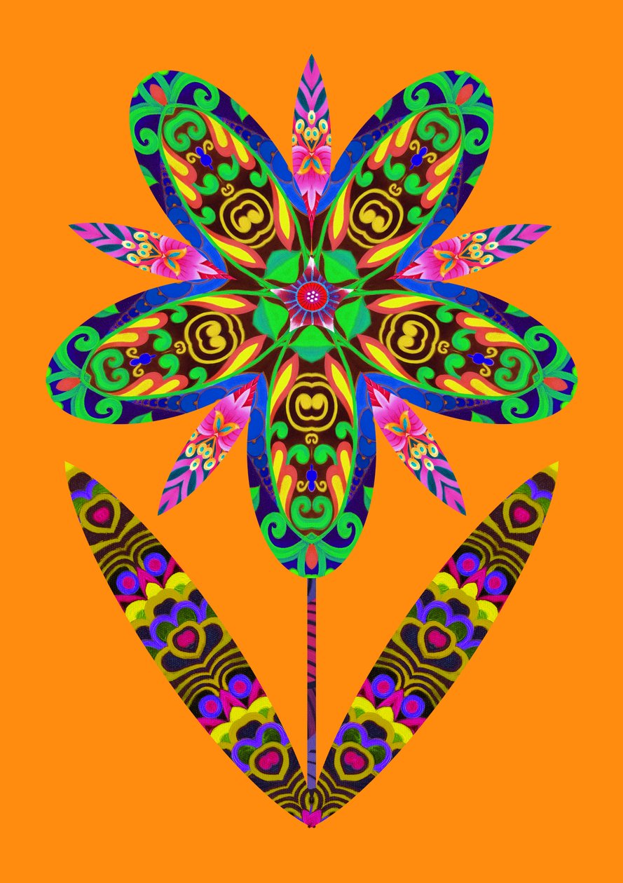 Flower Cutout on Orange by Jane Tattersfield