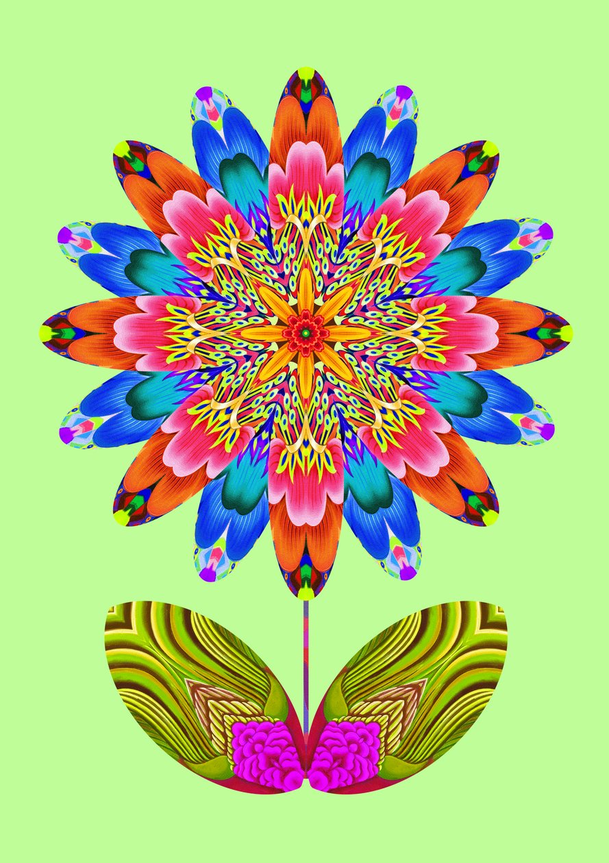Flower Cutout on Pale Green, 2020 by Jane Tattersfield