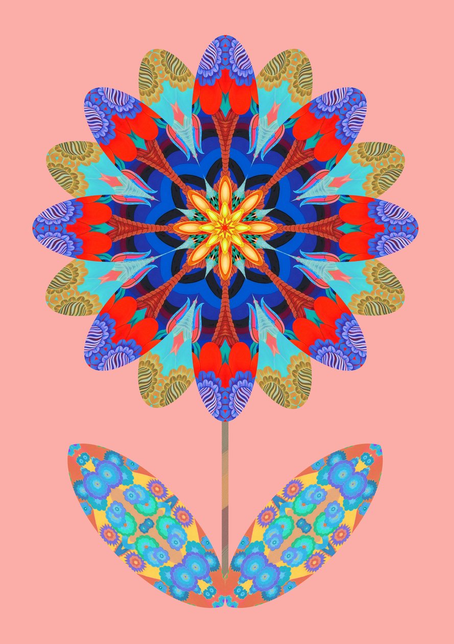 Flower Cutout on Pale Pink, 2020 by Jane Tattersfield