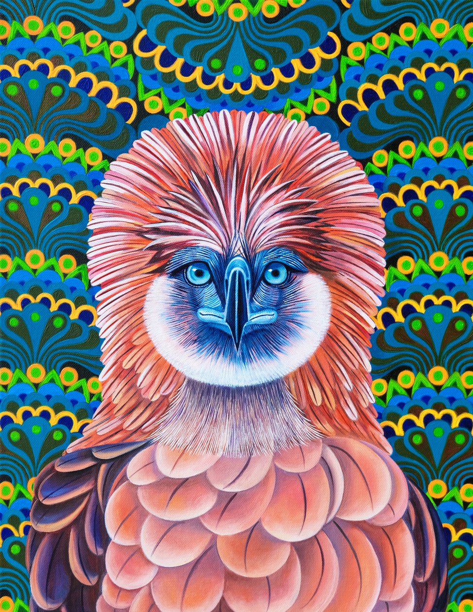 Philippine Eagle, 2020 by Jane Tattersfield