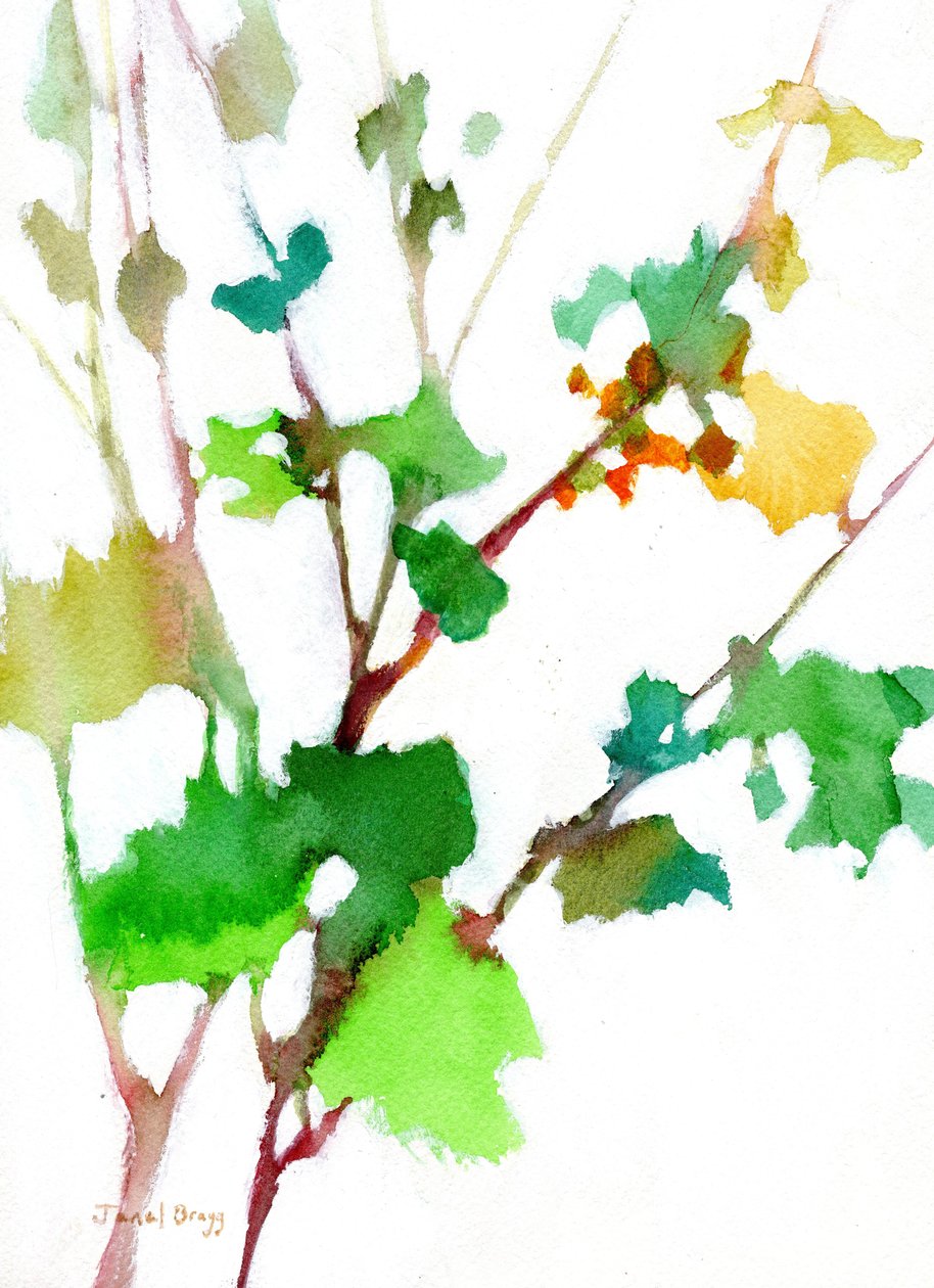  by Janel Bragg