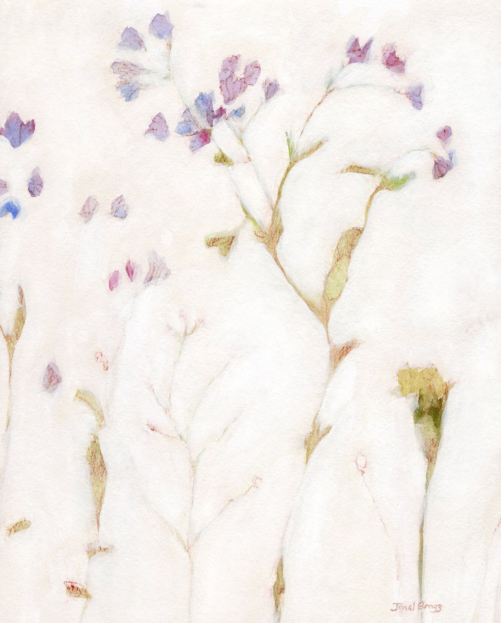 Faintly Lightly Phlox and Carnation, c. 2018 by Janel Bragg