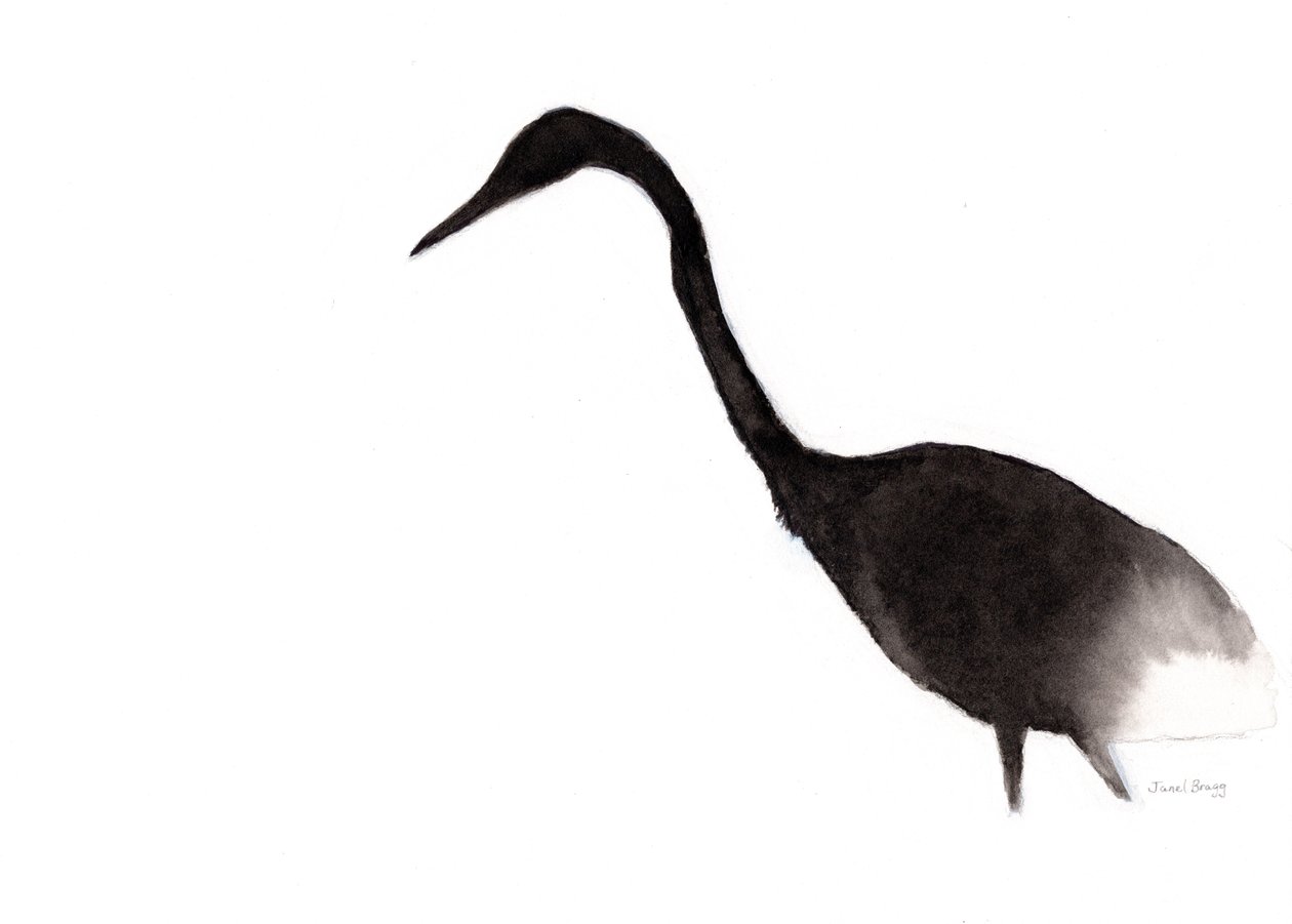 Heron in Ink, c.2020 by Janel Bragg