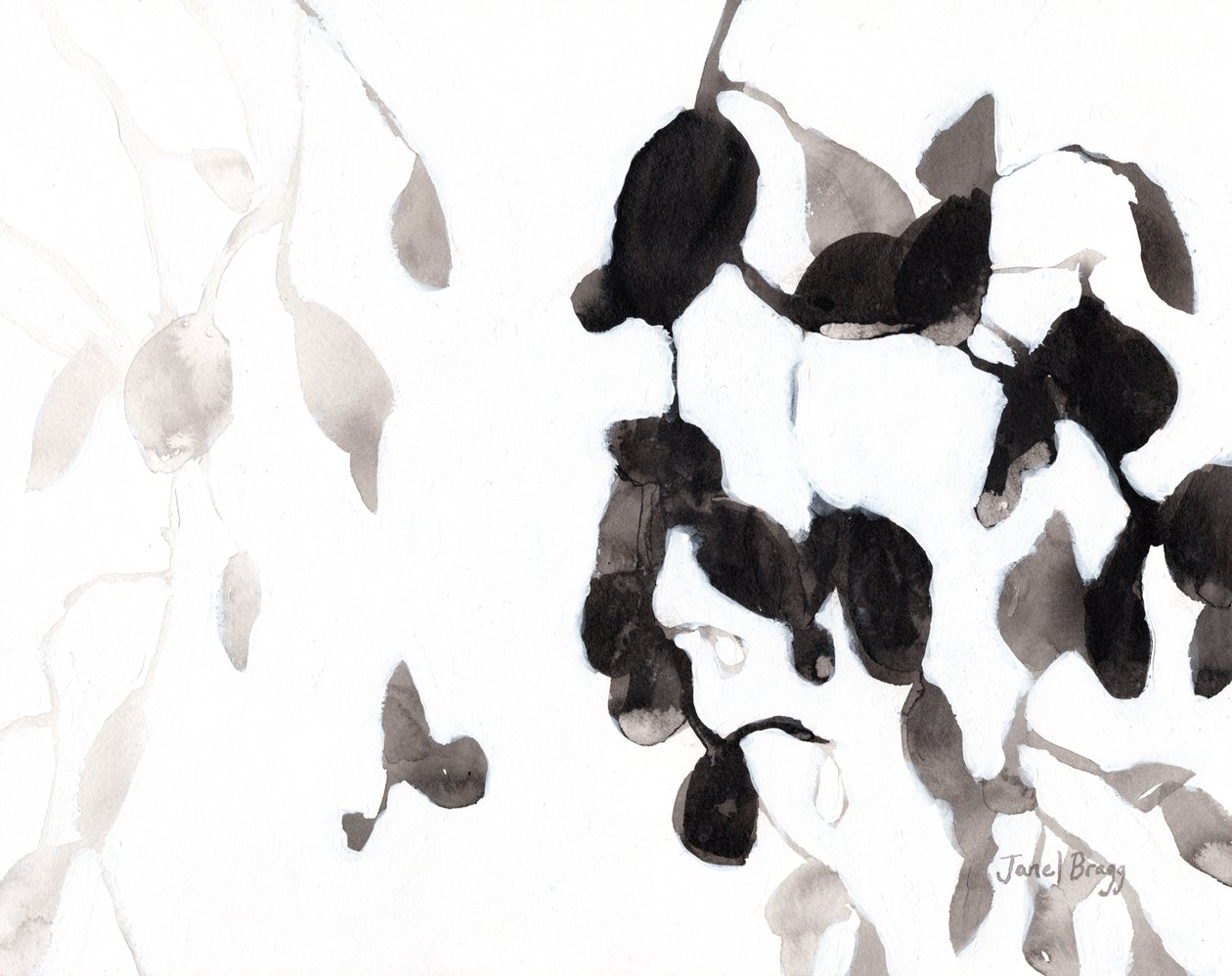  by Janel Bragg