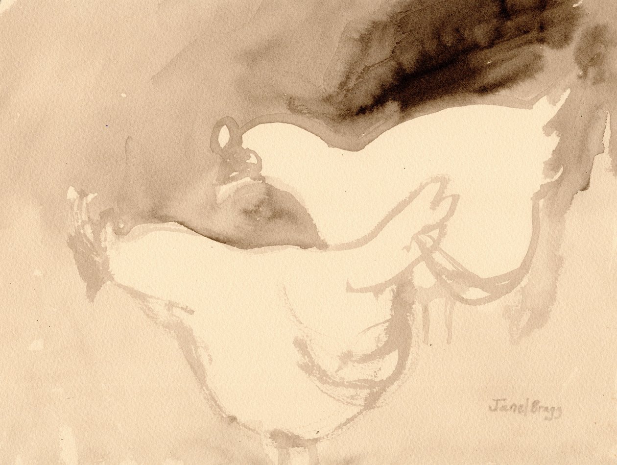 Schuh Farm Chickens, c.2019 by Janel Bragg