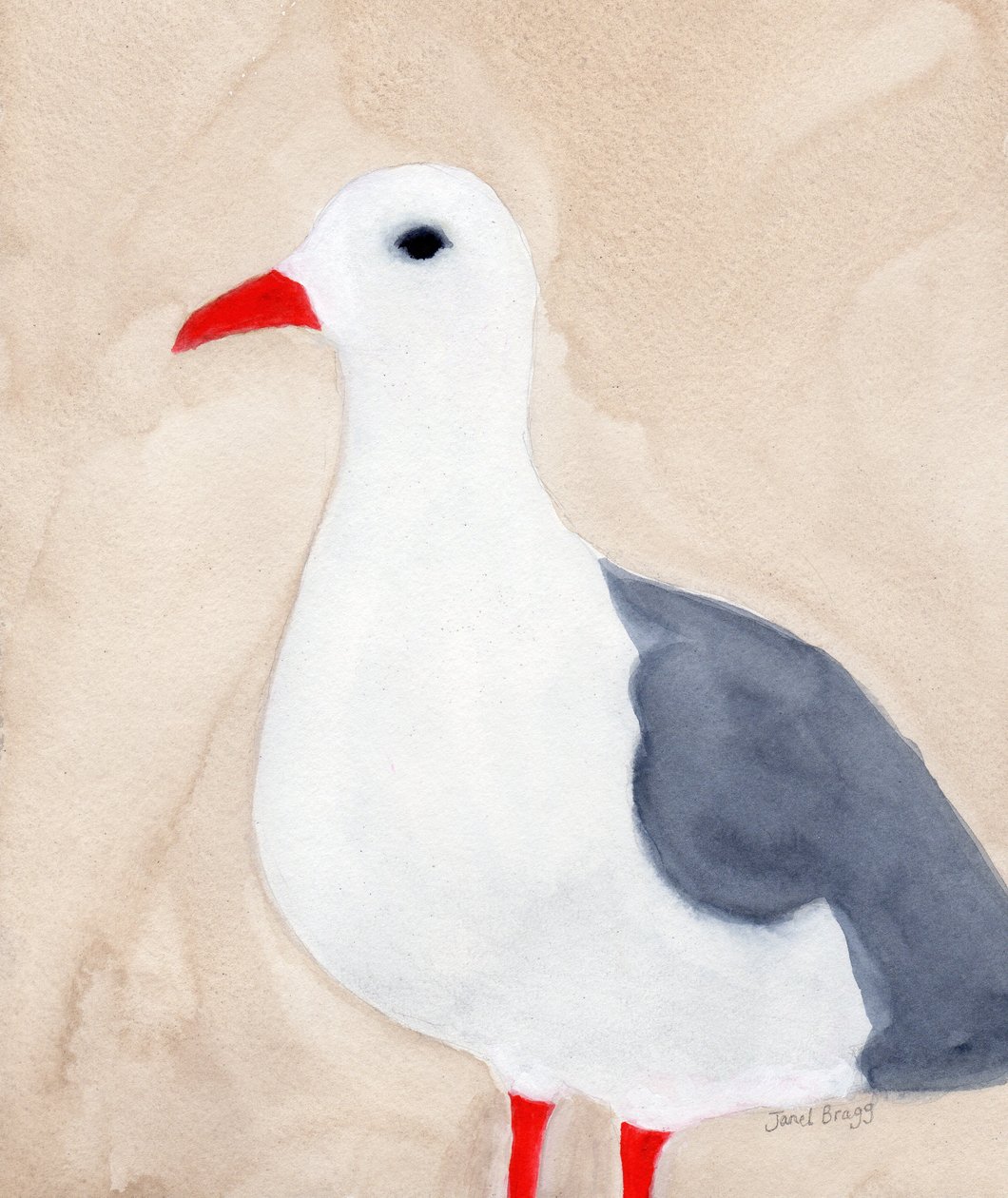 Seagull from Anacortes II, c.2018 by Janel Bragg