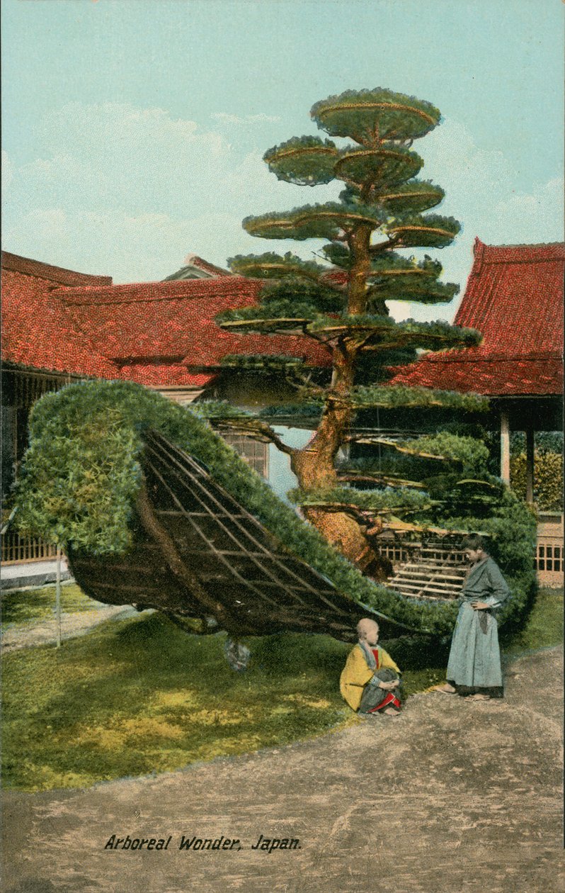 Ornamental tree shaped as a boat in Japan by Japanese Photographer