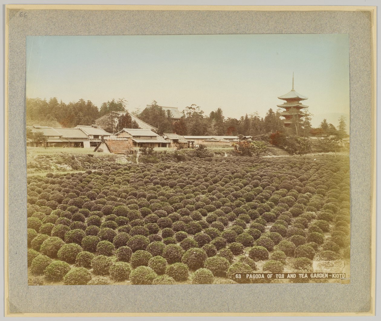 Pagoda of Toji and Tea Garden, Kyoto, Japan by Japanese Photographer