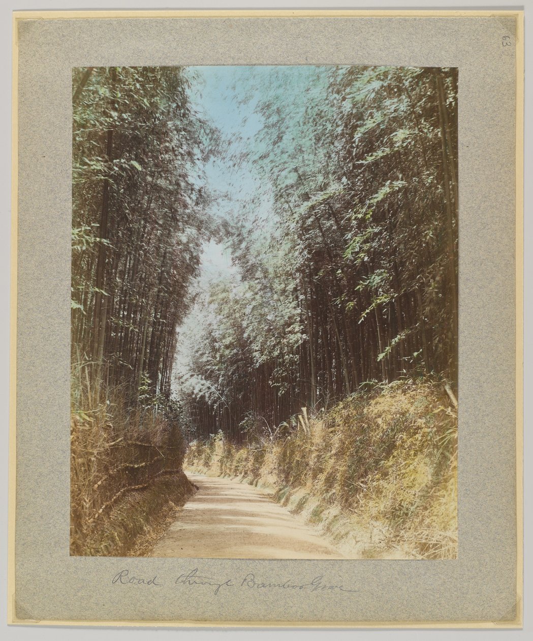 Road through a bamboo grove, Japan by Japanese Photographer