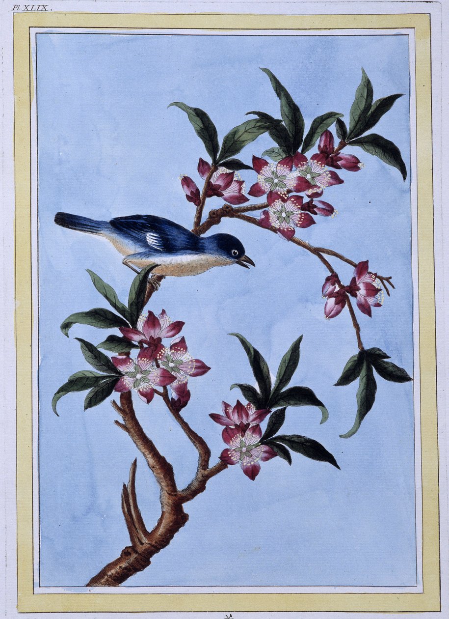 Bird - Japanese print by Japanese School