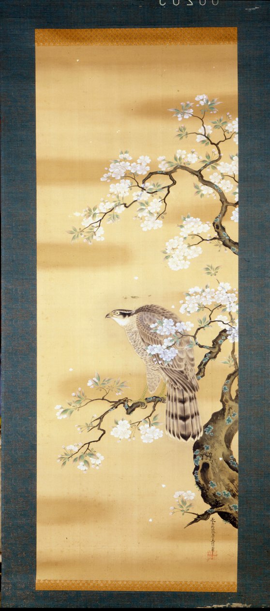 Falcon on a branch of Japanese cherry blossom. Silk painting from the 18th century of Japan. Genoa. Museo Chiossone. by Japanese School