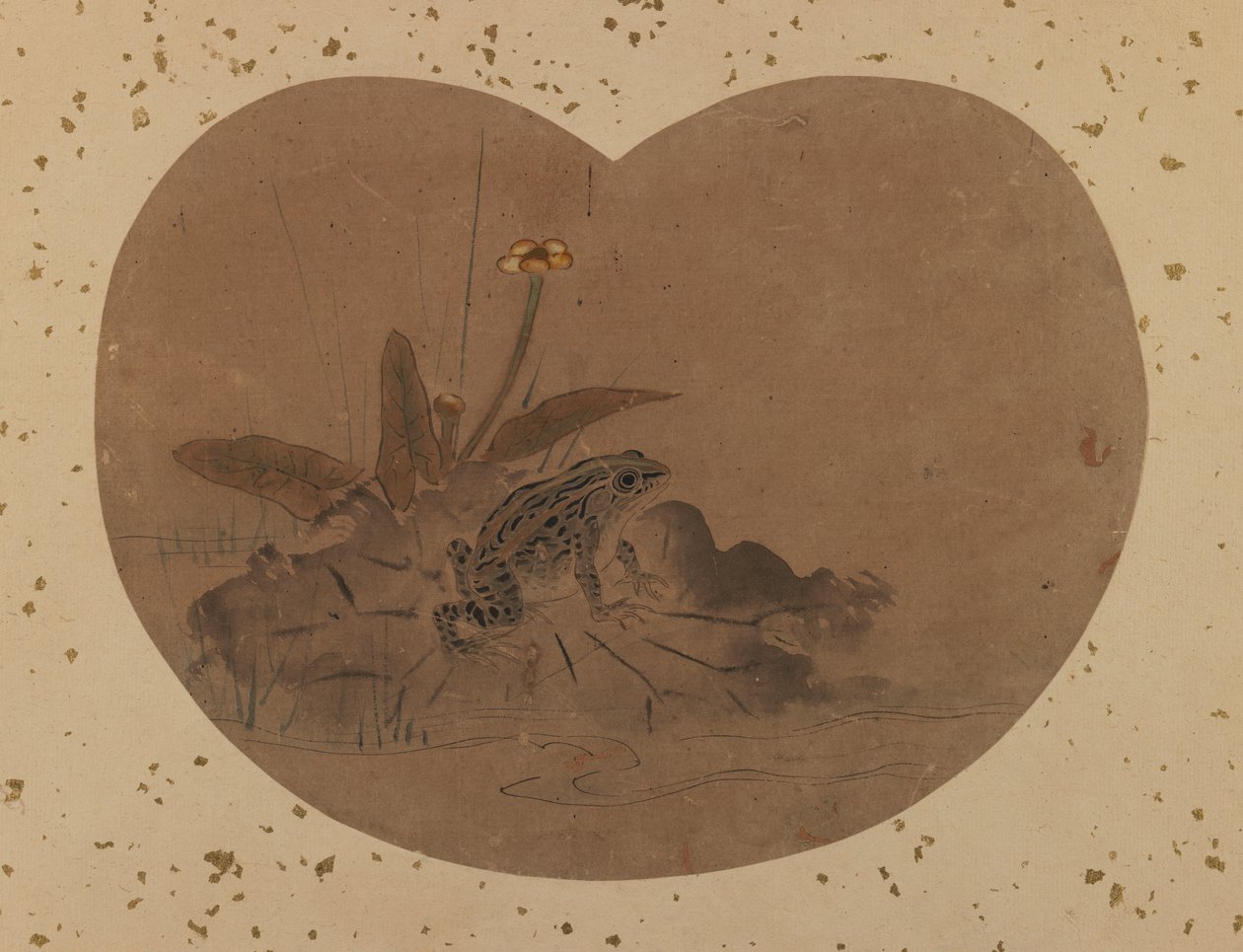 Fan painting of a frog (verso) by Japanese School
