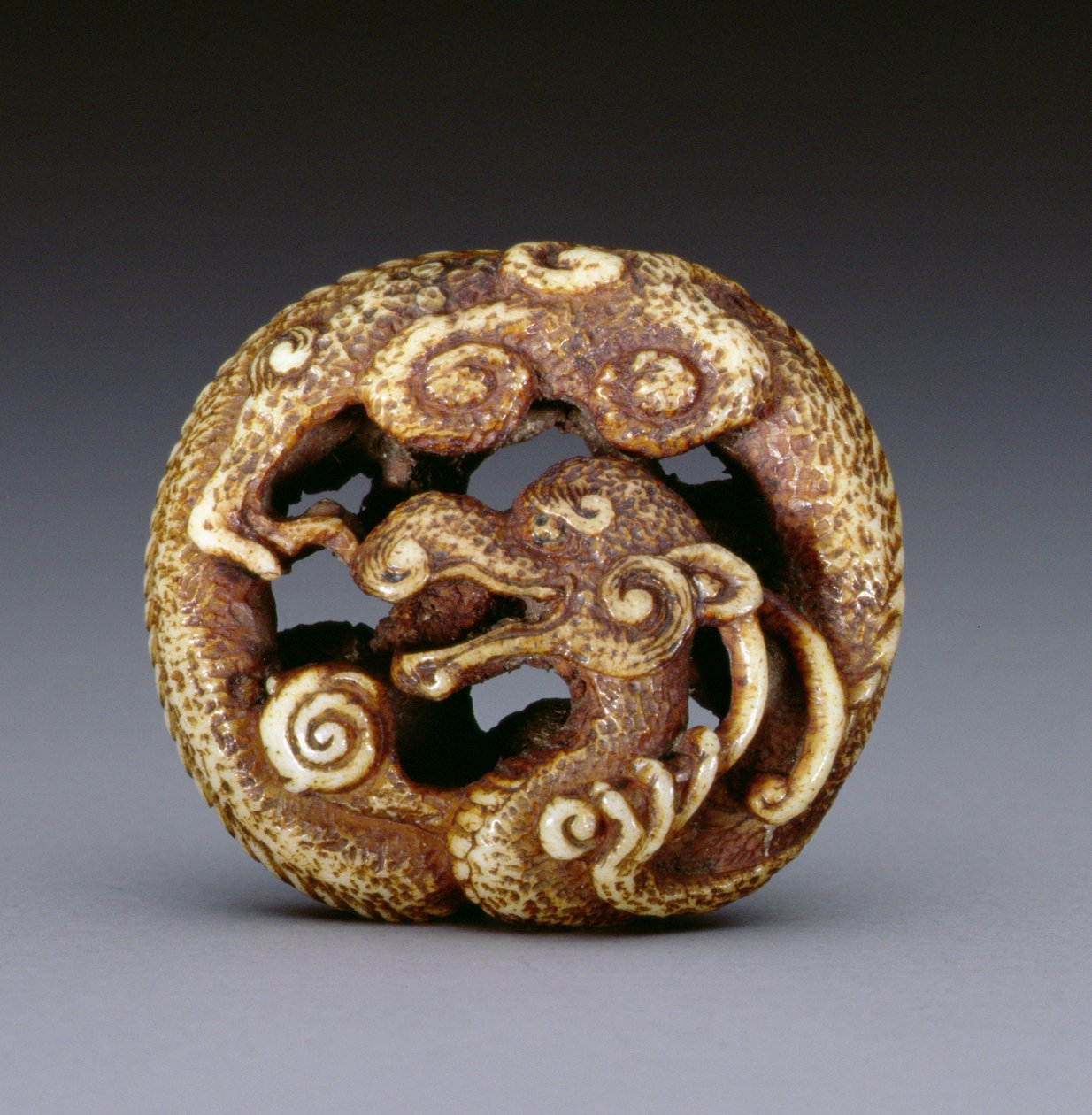 Netsuke Depicting a Water Dragon, c.1870-80 by Japanese School
