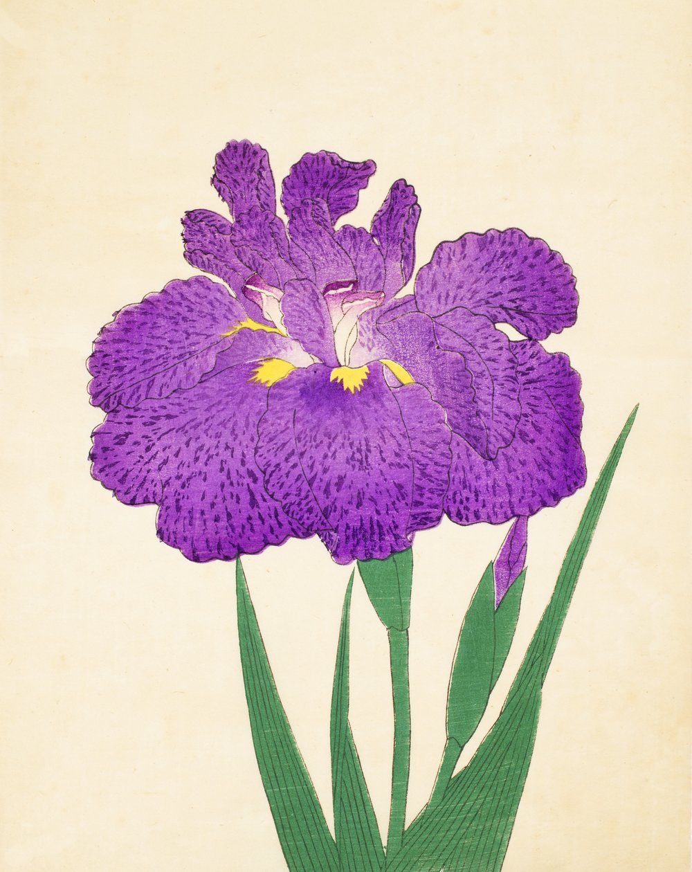 Nyo-Nishiki, no.11, 1898 by Japanese School