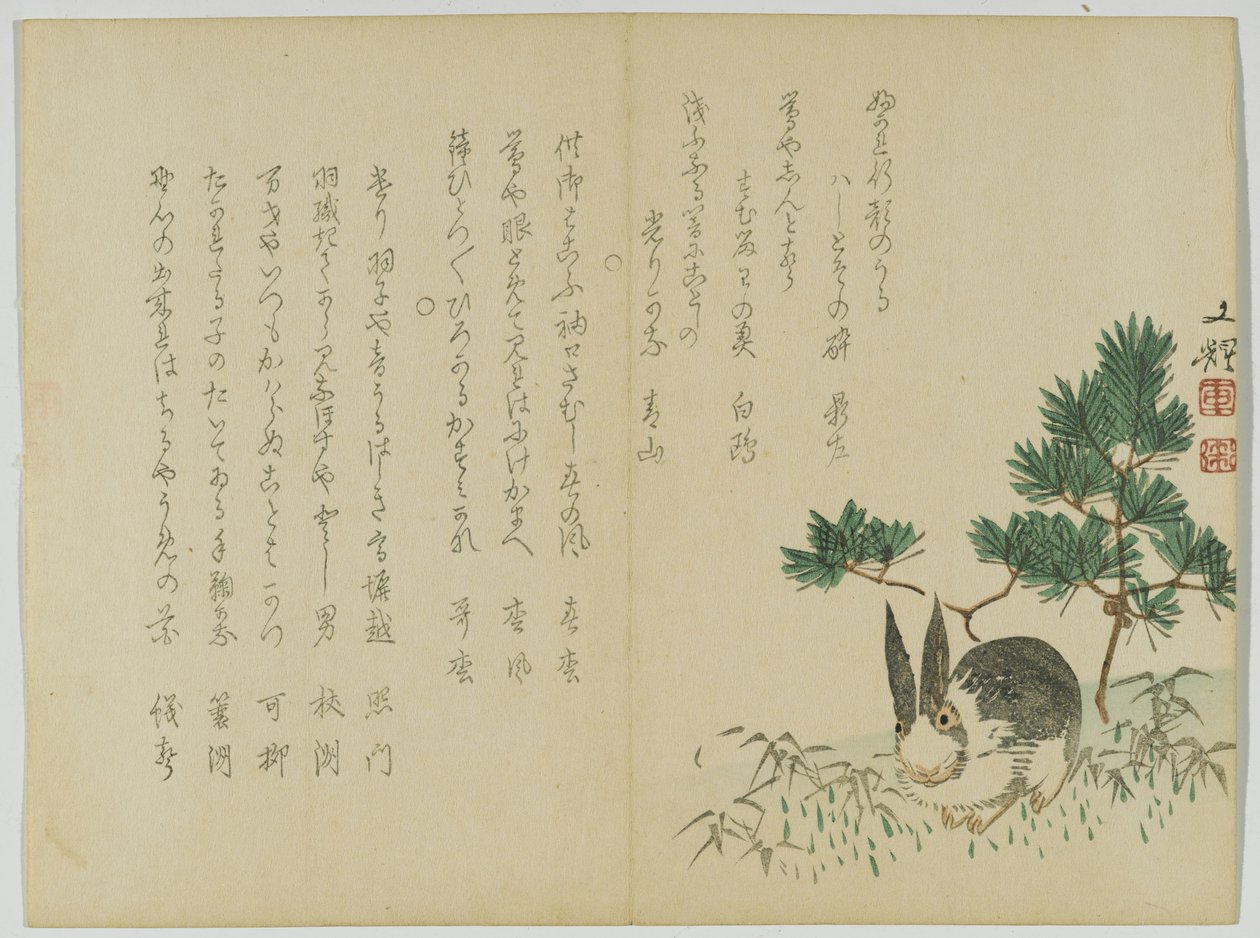 Rabbit beneath New Year