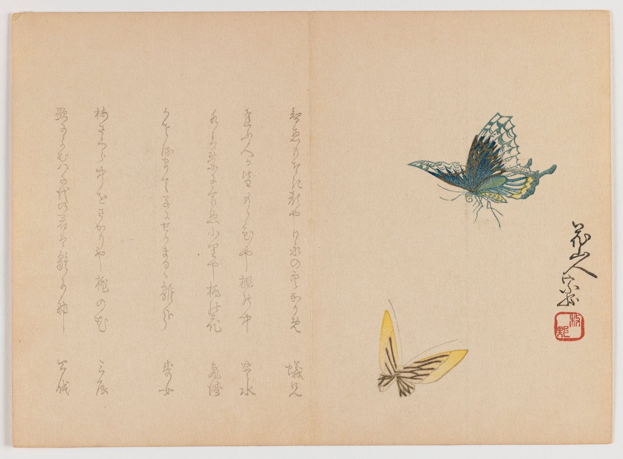Two Butterflies by Japanese School