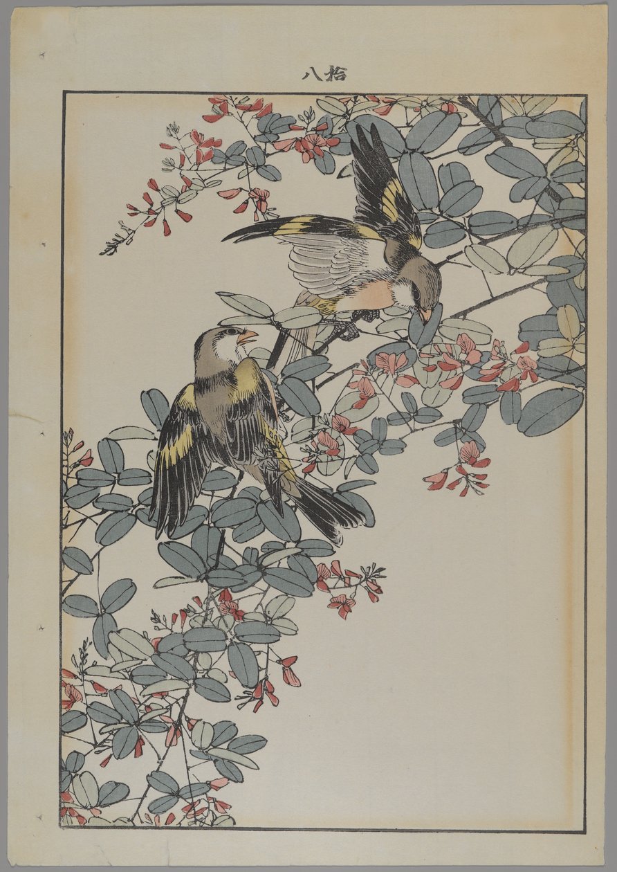 Two Birds with Pink Flowers, Meiji Period, c.1868-1912 by Japanese School