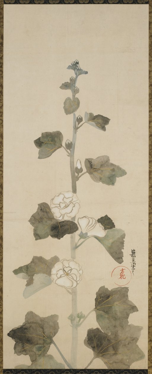 White hollyhocks, Edo period by Japanese School