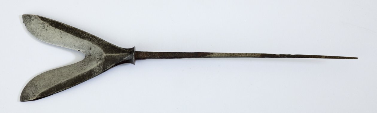Yanone (Arrowhead) of Forked 