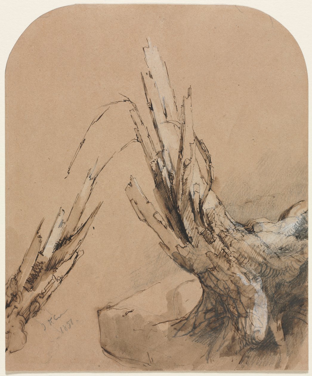 A Blasted Tree (recto) Floorplan (verso) by Jasper F. Cropsey