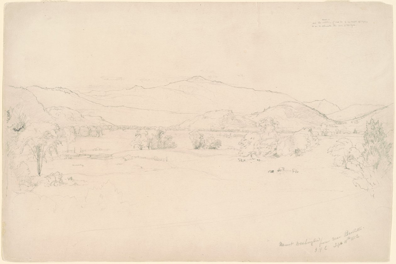 Study for 